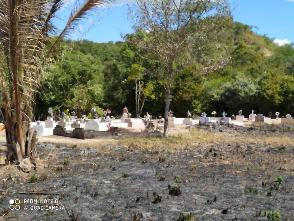 Respeito pelos mortos, prefeitura manda limpar cemitério - Imagem 5