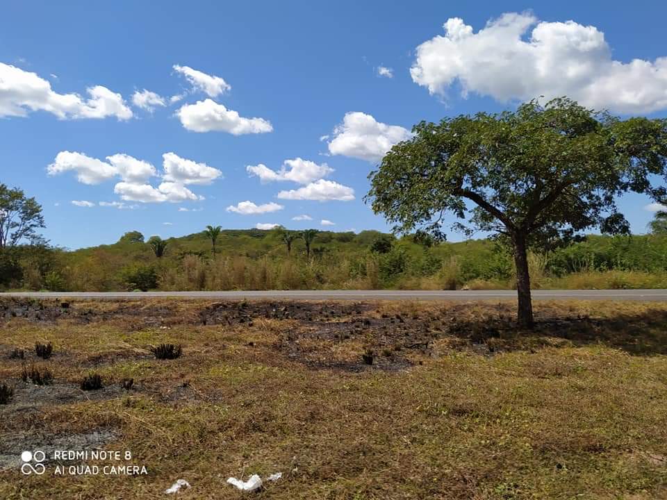 Respeito pelos mortos, prefeitura manda limpar cemitério - Imagem 4
