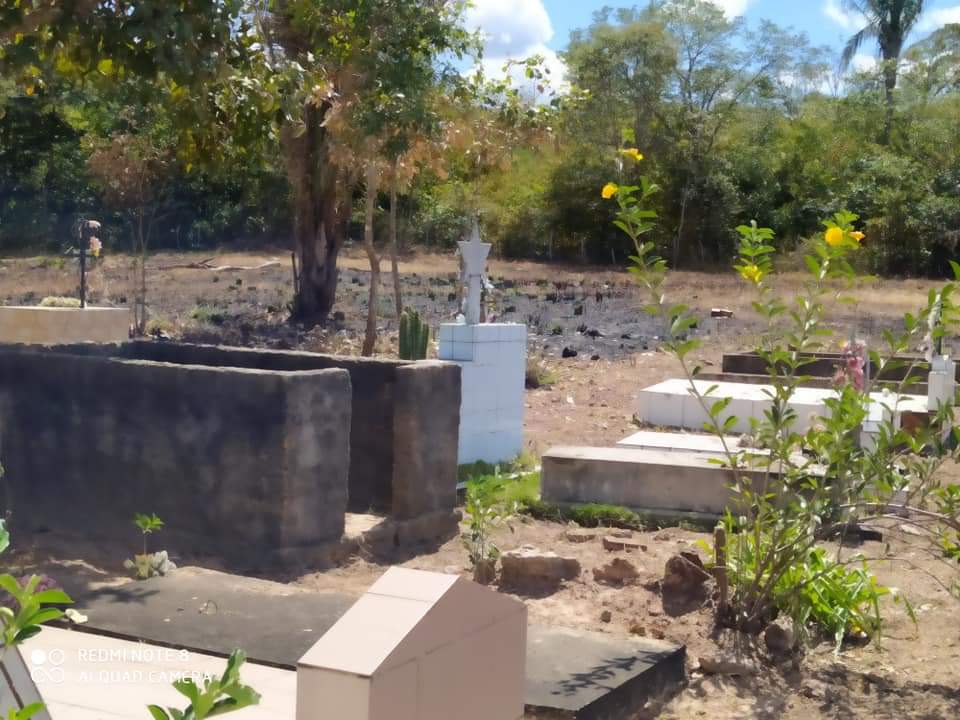 Respeito pelos mortos, prefeitura manda limpar cemitério - Imagem 3