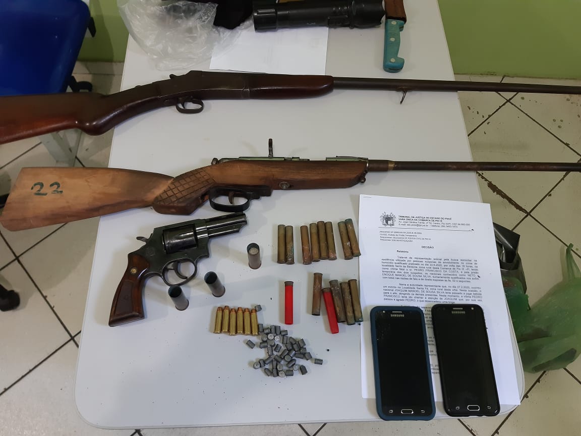 Armas Apreendidas em operação no município de Pio IX - Foto: Polícia Civil