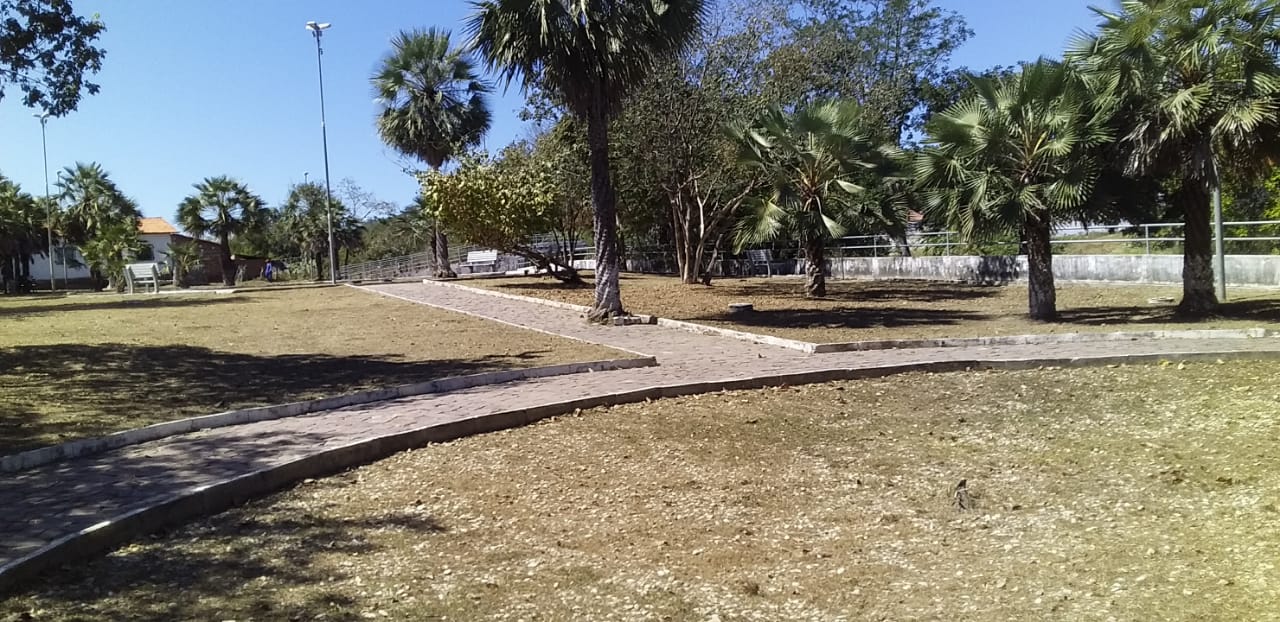 Prefeitura mantendo a limpeza dos logradouros públicos em dia - Imagem 4