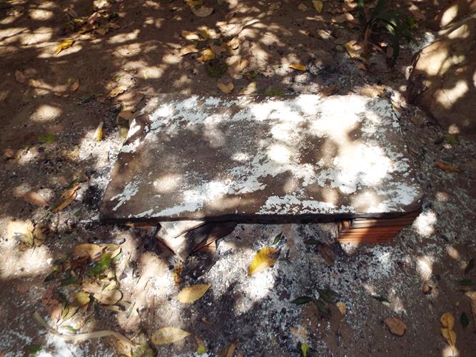 Cultura da farinhada ainda resiste ao tempo - Imagem 20