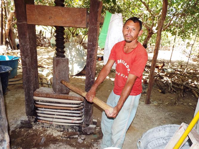 Cultura da farinhada ainda resiste ao tempo - Imagem 7