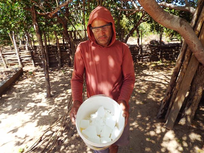 Cultura da farinhada ainda resiste ao tempo - Imagem 19