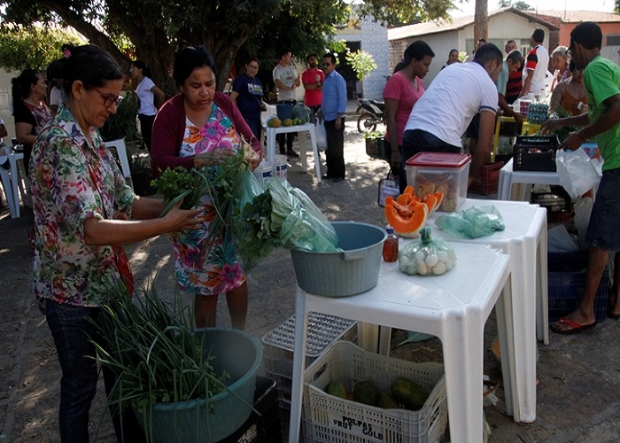 Após período crítico da pandemia, feira Saberes e Sabores” volta acontecer  - Imagem 2