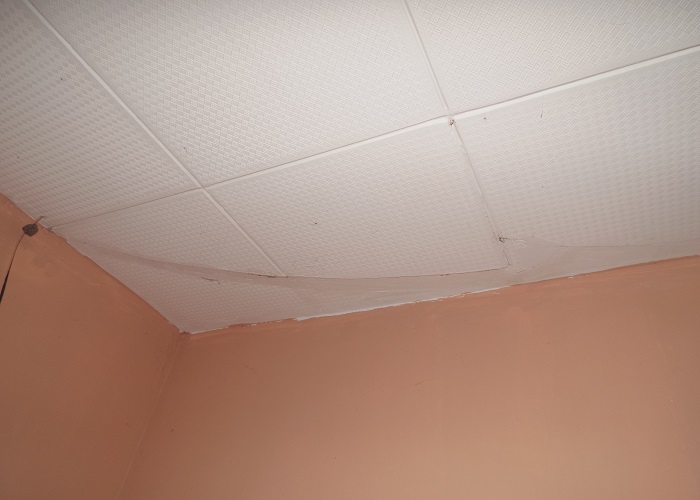 Milton Brandão: Secretária Samira Castro relata como recebeu a Secretaria de Assistência Social  - Imagem 1