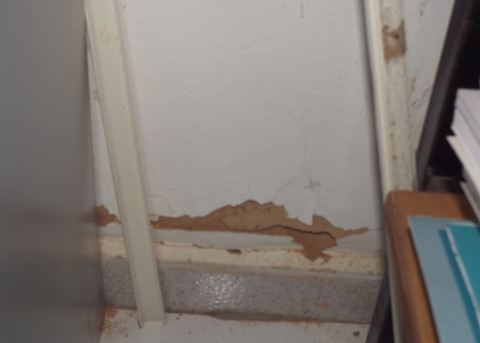 Milton Brandão: Secretária Samira Castro relata como recebeu a Secretaria de Assistência Social  - Imagem 8