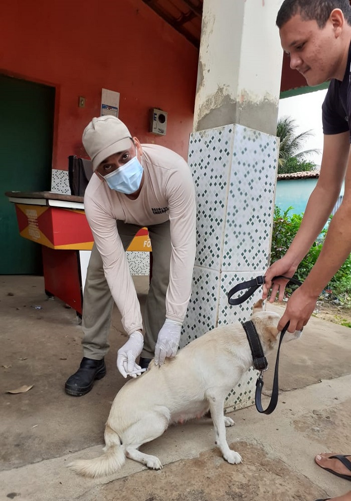 Milton Brandão: Município realiza campanha de vacinação antirrábica que seria em novembro de 2020 só agora está sendo realizada - Imagem 3