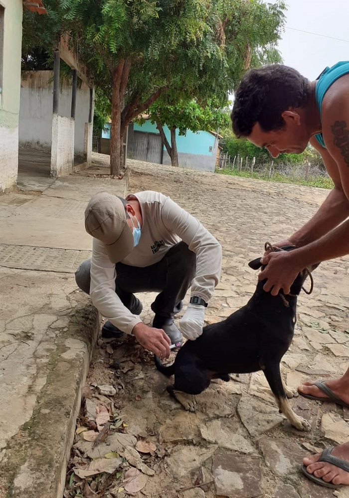 Milton Brandão: Município realiza campanha de vacinação antirrábica que seria em novembro de 2020 só agora está sendo realizada - Imagem 7