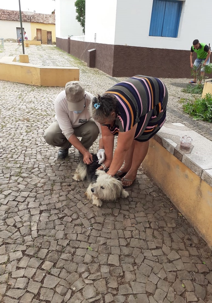 Milton Brandão: Município realiza campanha de vacinação antirrábica que seria em novembro de 2020 só agora está sendo realizada - Imagem 5