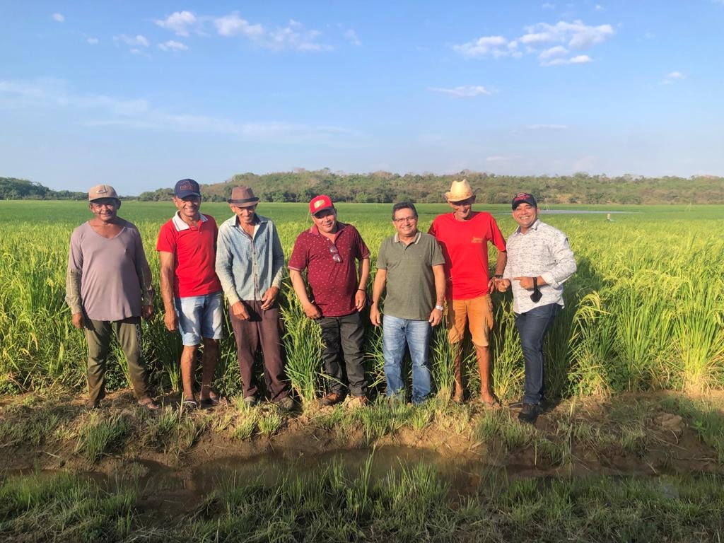 Prefeito Genival Bezerra visita campo de produção arroz - Imagem 5