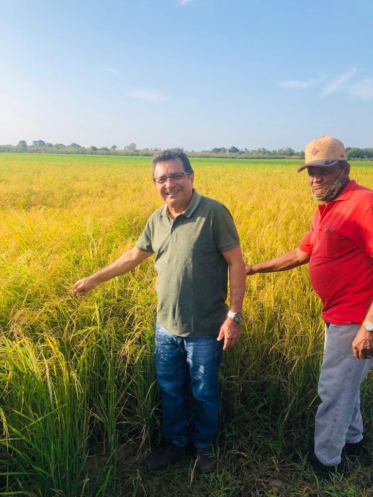 Prefeito Genival Bezerra visita campo de produção arroz - Imagem 1