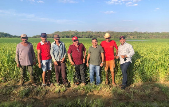Prefeito Genival Bezerra visita campo de produção arroz