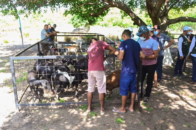 I Dia Campo e Seminário de Caprinos e Ovinos de Joaquim Pires - Imagem 9