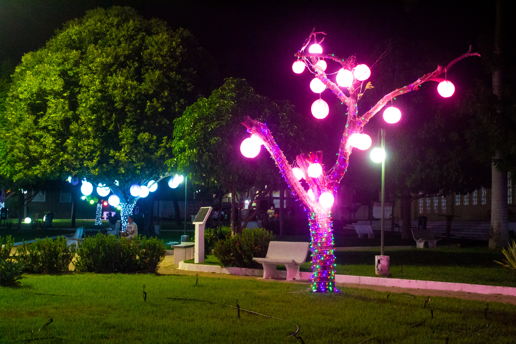 Praça 28 de Dezembro de Joaquim Pires recebe decoração natalina - Imagem 14