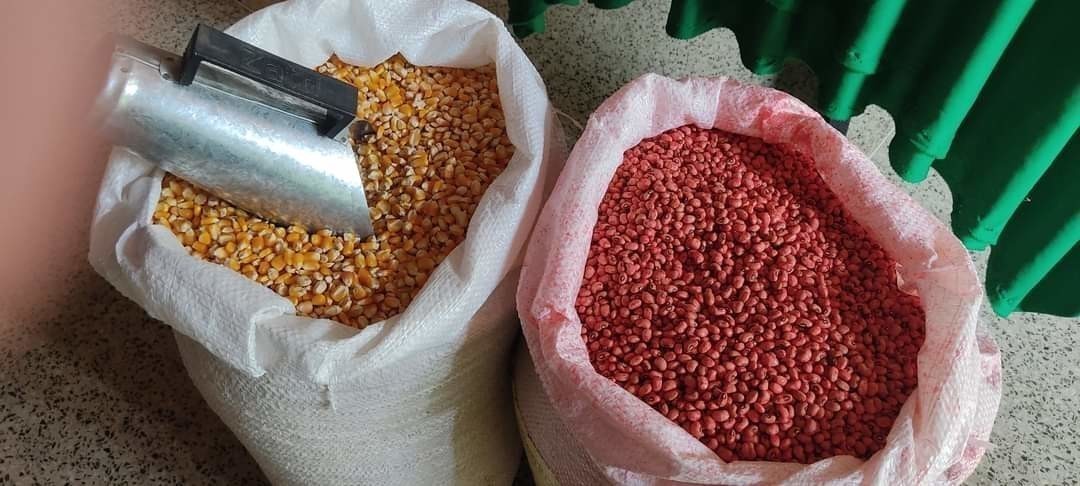 Prefeito João Luiz e deputada estadual Elisangela Moura entregam sementes para agricultures