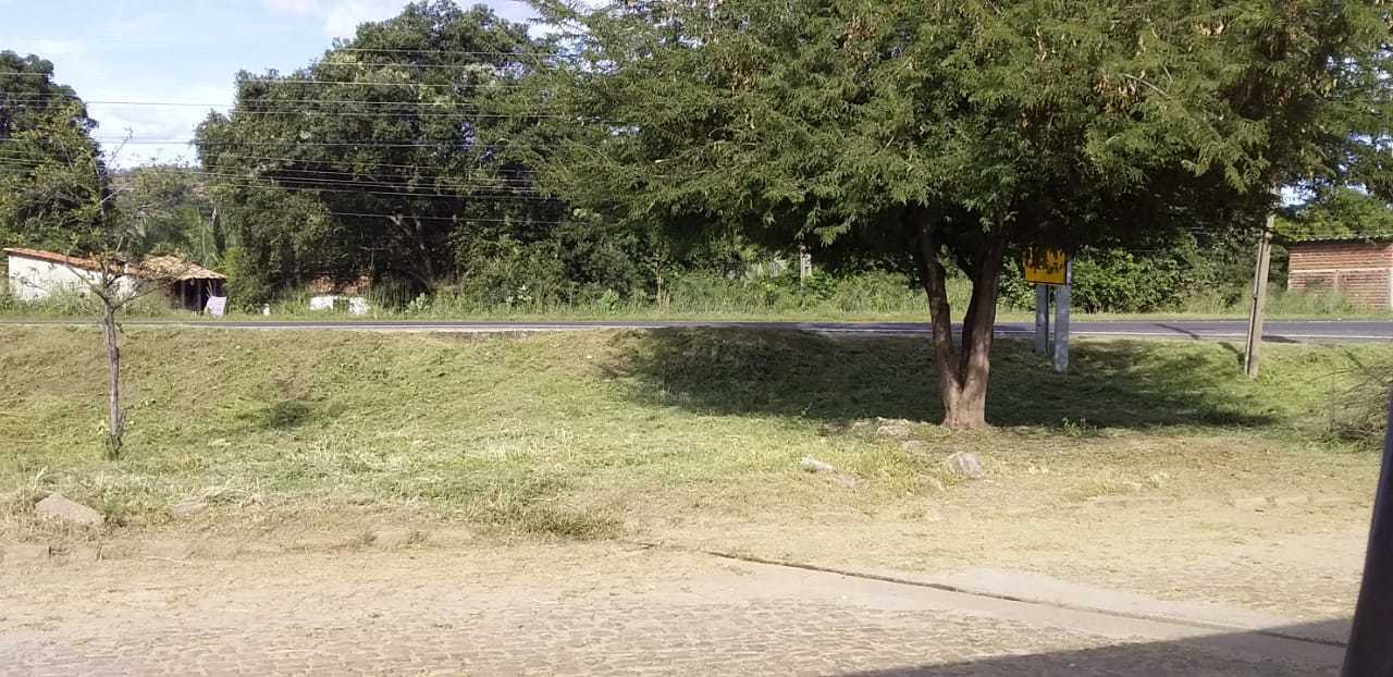 Prefeito João Luiz mantém tradição de distribuição do pescado em Monsenhor Gil - Imagem 9