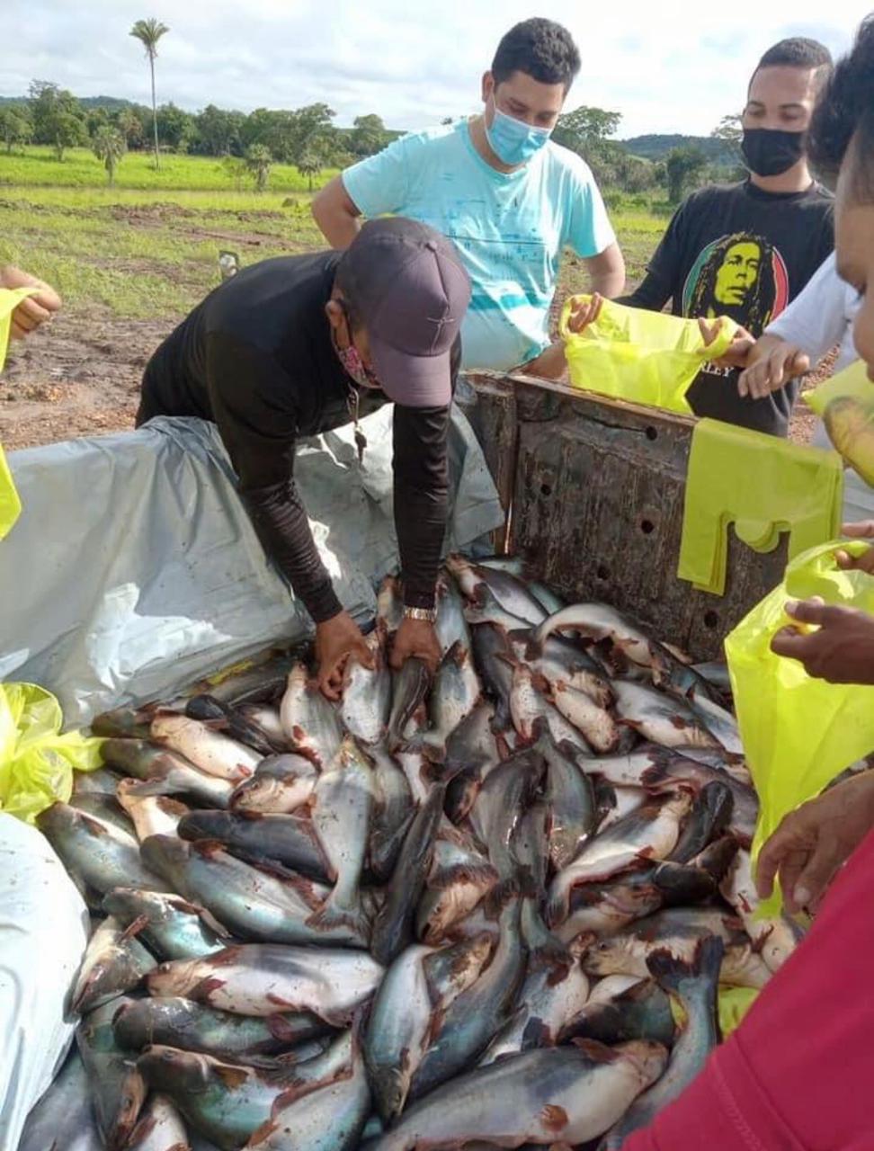 Distribuição do tradicional peixe da semana Santa para a população de Curralinhos - Foto: Divulgação/Ascom