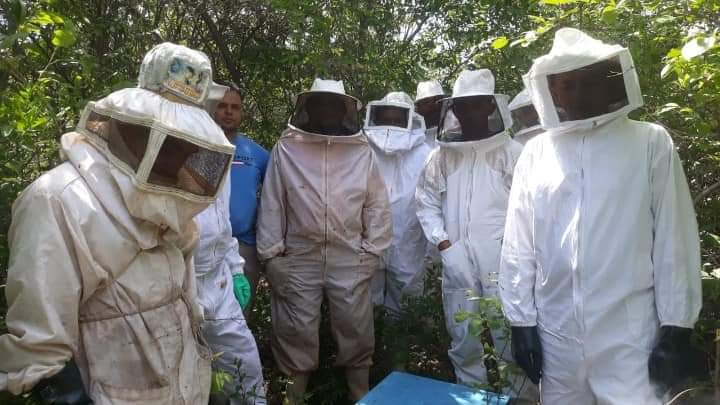 Itainópolis se torna referência na produção de mel no Piauí - Imagem 4