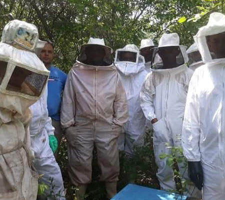 Itainópolis se torna referência na produção de mel no Piauí