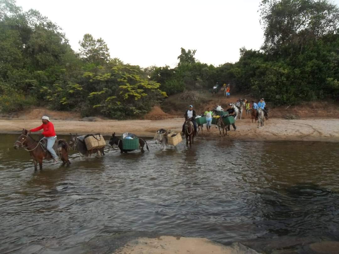 Caminhada de Monsenhor Gil para Santa Cruz é cancelada  - Imagem 7
