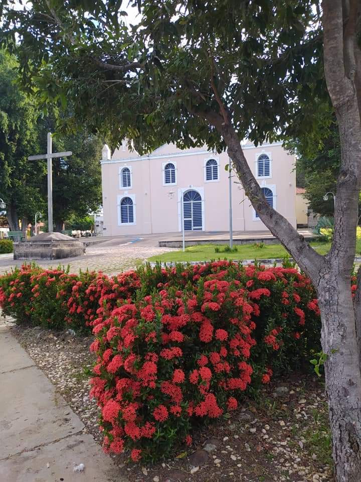 Pedala Monsenhor Gil pelas estradas do município, geração saúde - Imagem 1