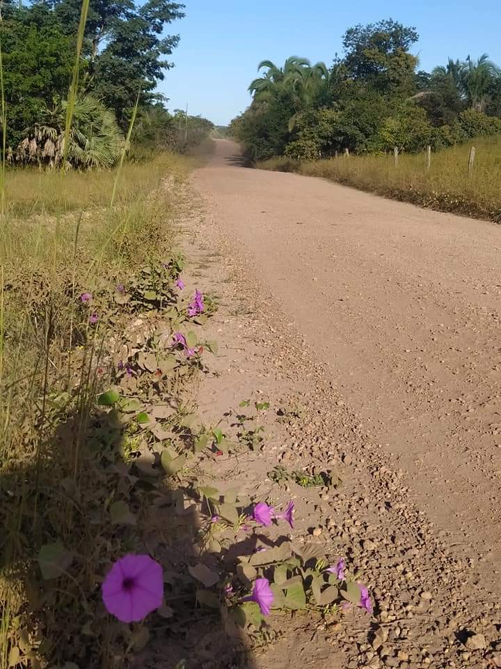 Pedala Monsenhor Gil pelas estradas do município, geração saúde - Imagem 7