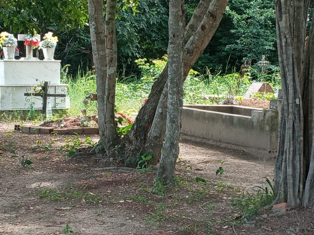 Respeito pelos mortos mantendo cemitérios limpos em Monsenhor Gil - Imagem 4