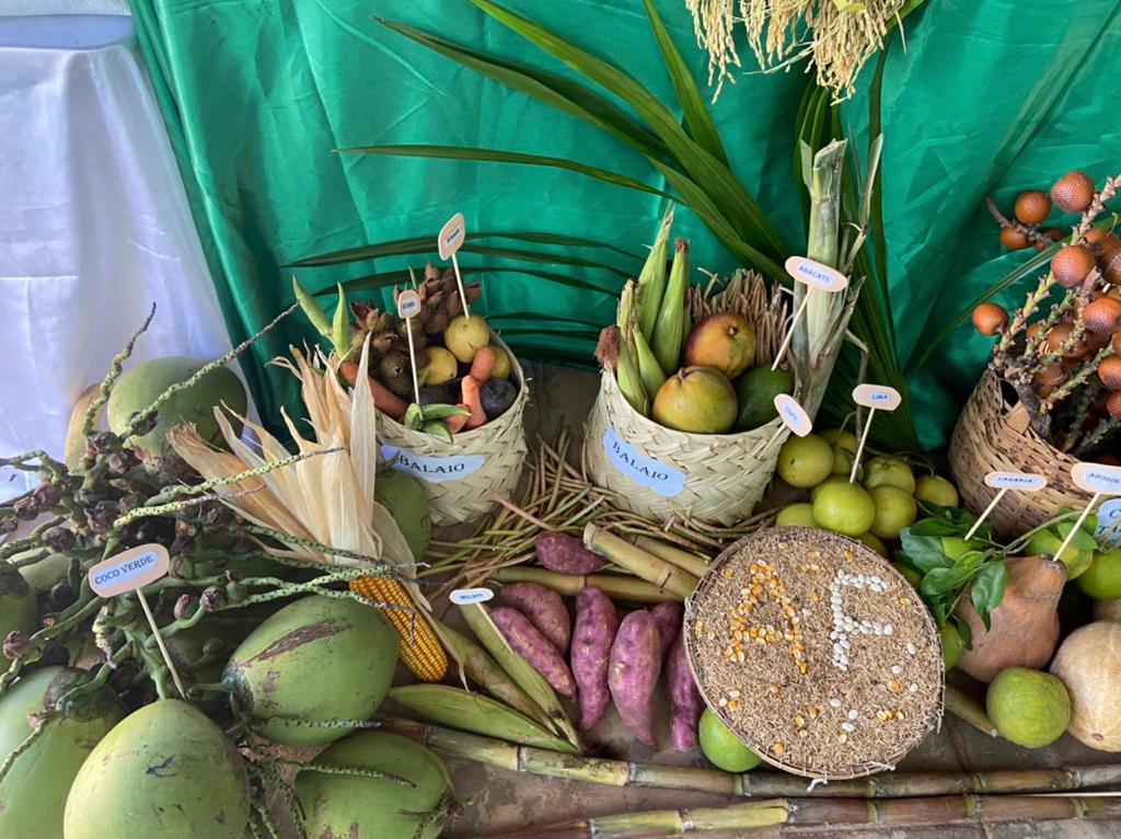 Exposição da “Mesa da Agricultura Familiar” em Manoel Emídio - Imagem 6