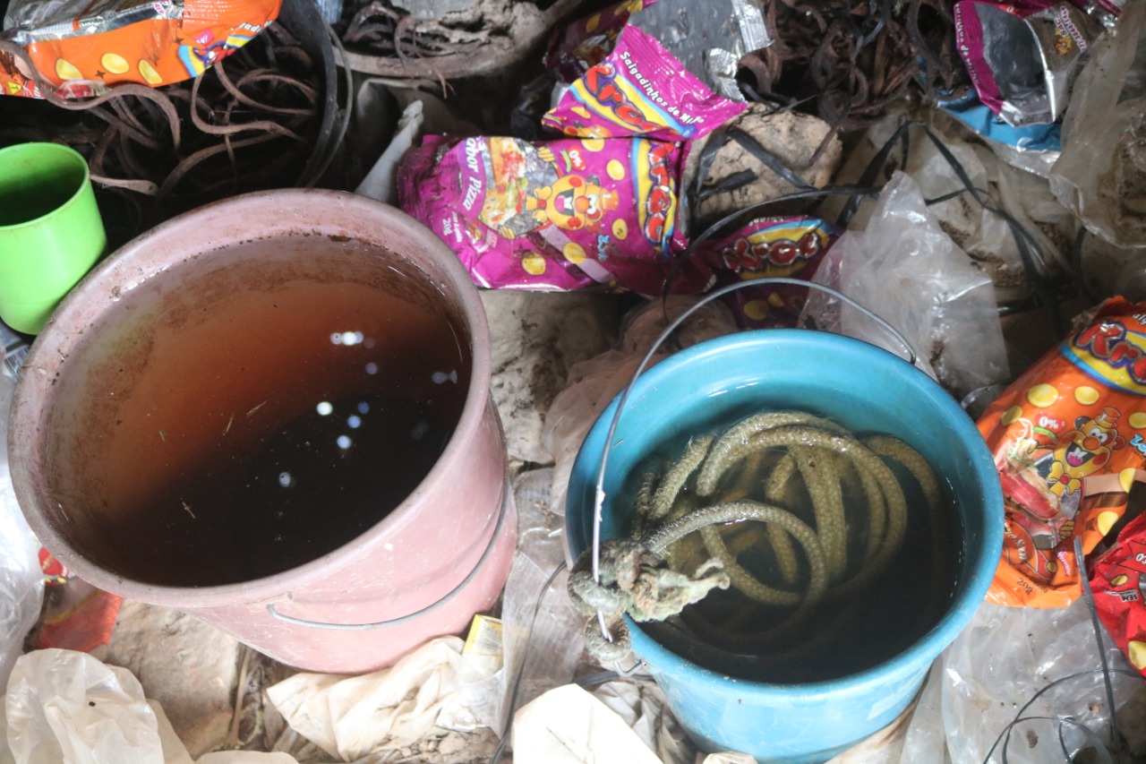 Idoso vive em total estado de vulnerabilidade - Imagem 4