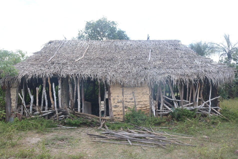 Idoso vive em total estado de vulnerabilidade - Imagem 1