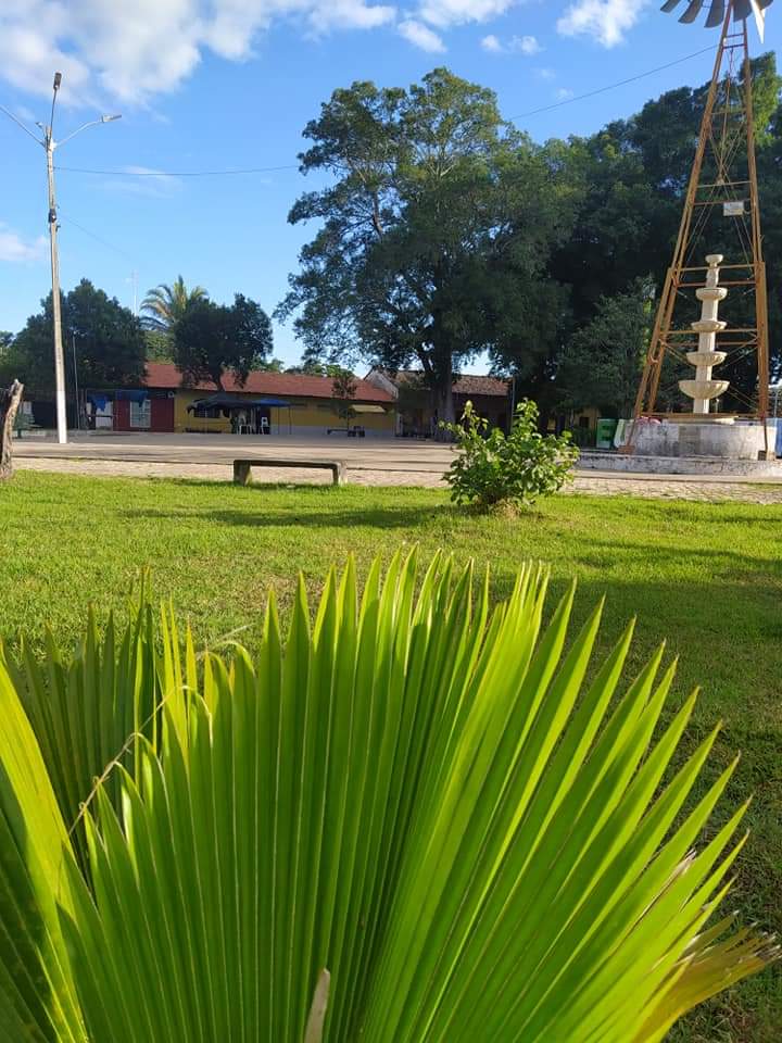 Prefeito João Luiz mantendo sua marca de cidade limpa em Monsenhor Gil - Imagem 2