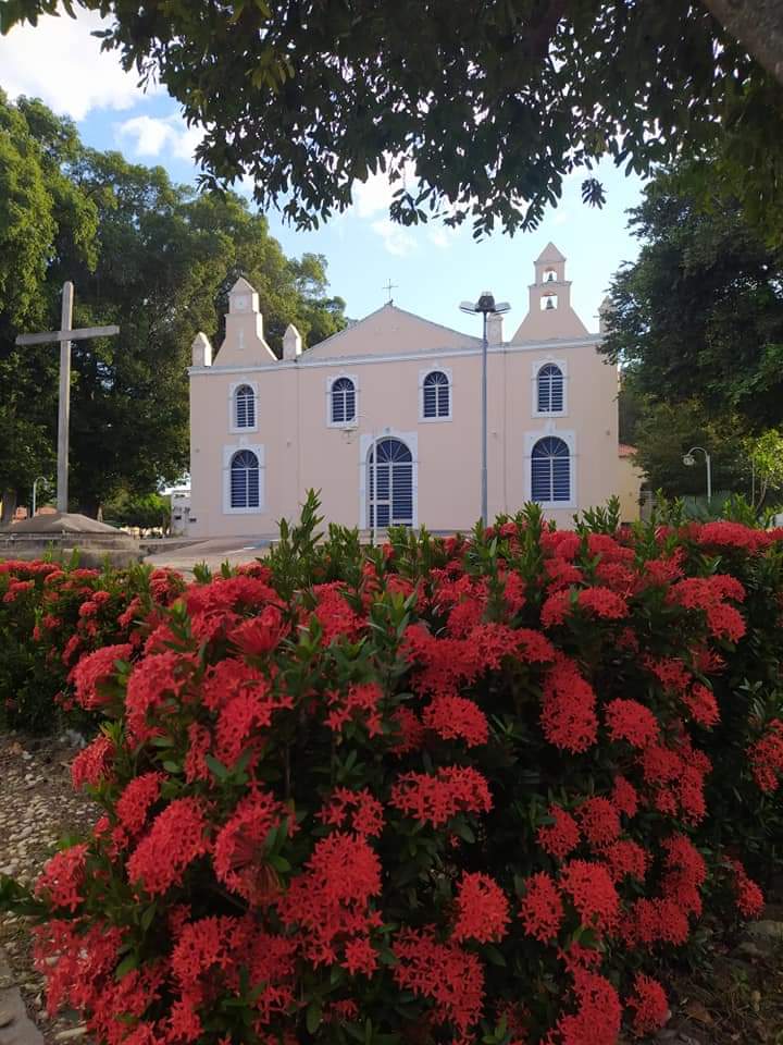 Prefeito João Luiz mantendo sua marca de cidade limpa em Monsenhor Gil - Imagem 1