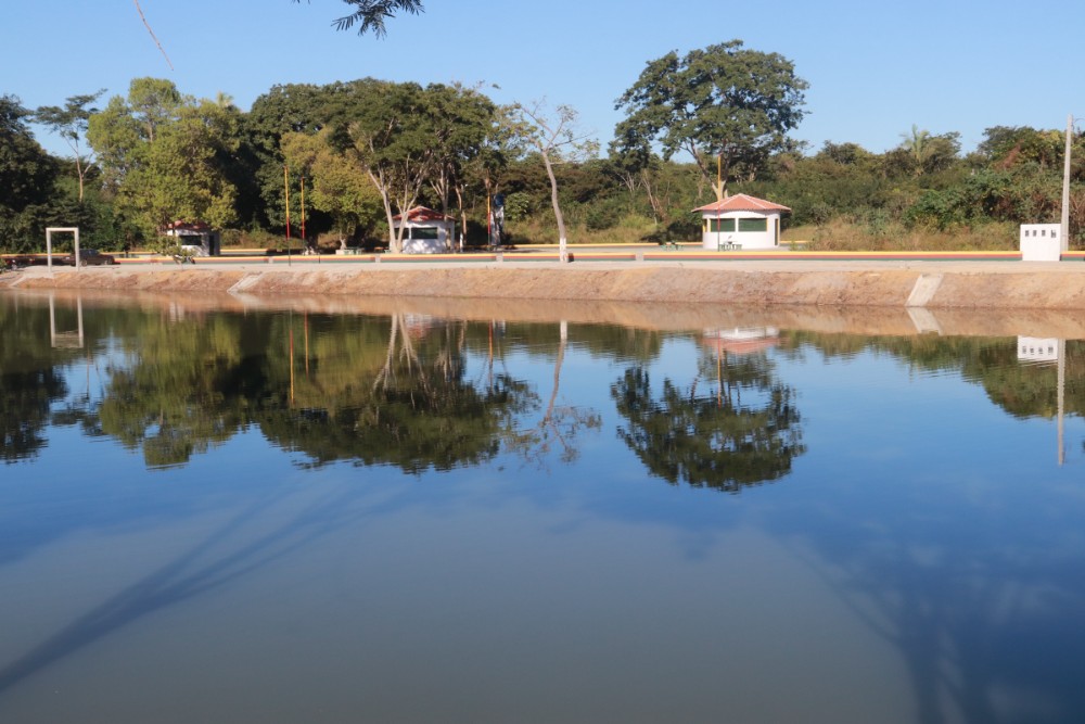 Orla da Lagoa da Baixa é arborizada através de projeto do Meio Ambiente - Imagem 3
