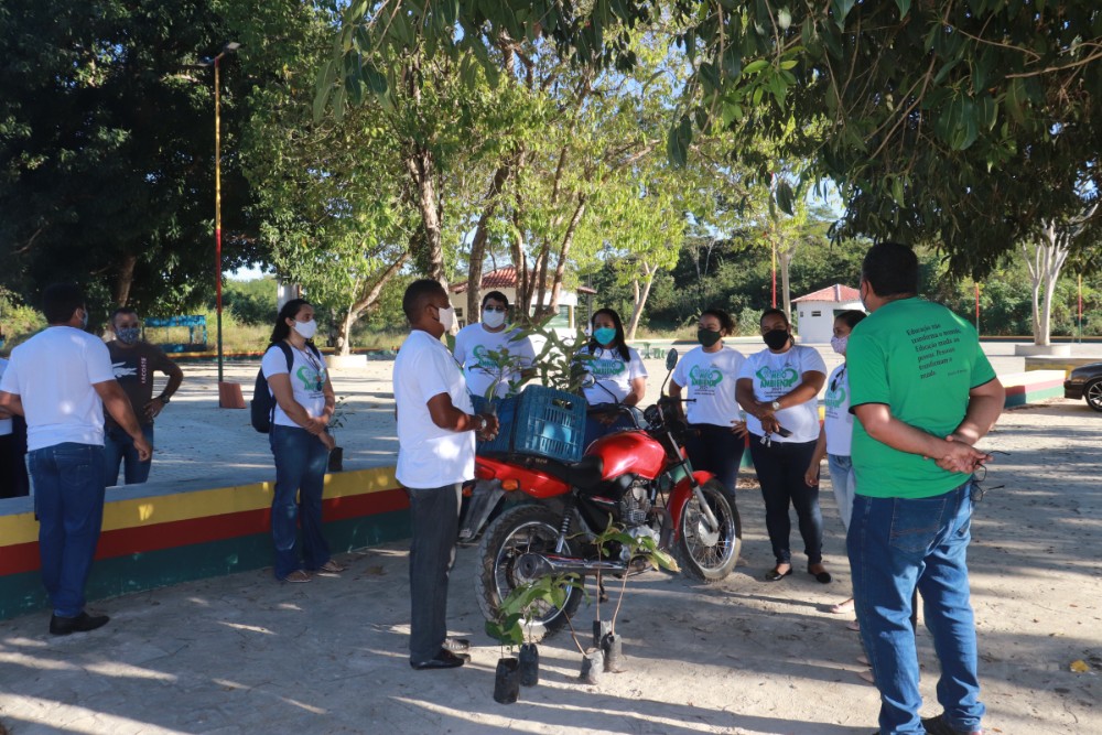 Orla da Lagoa da Baixa é arborizada através de projeto do Meio Ambiente - Imagem 6