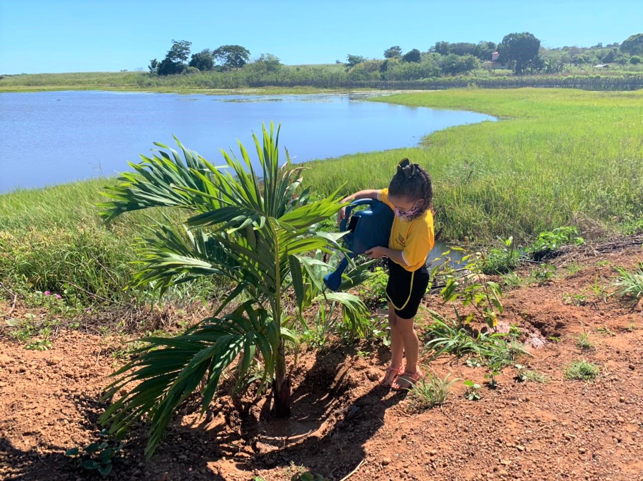 Prefeito Luciano participa de  ação ambiental em Hugo Napoleão - Imagem 12