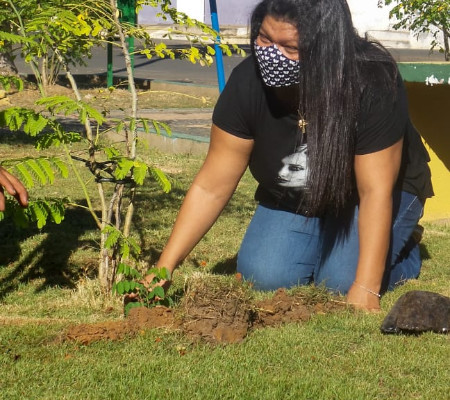 Dia do Meio Ambiente é lembrado em Lagoinha com Plantação de Mudas árvores