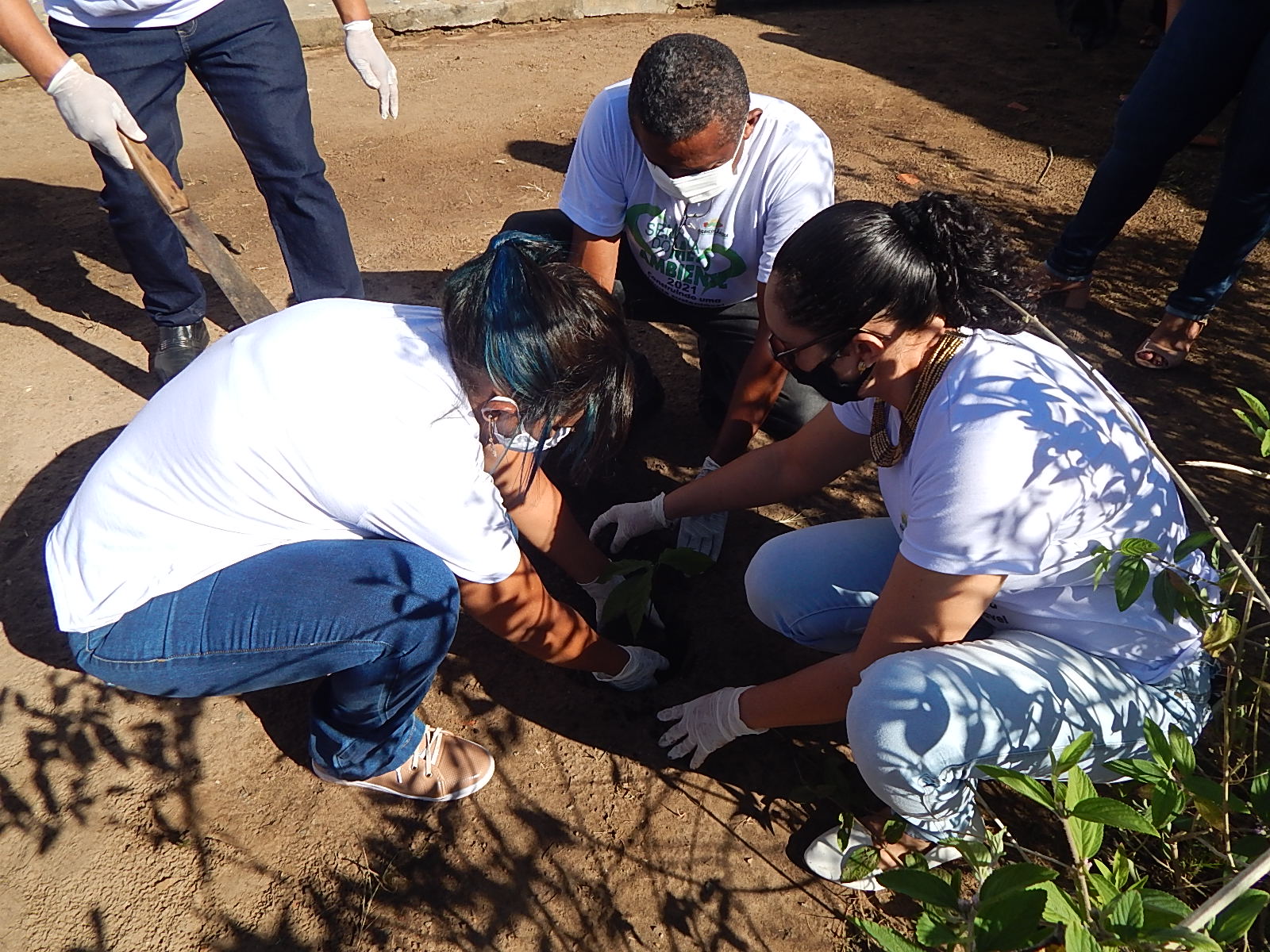 Dia Mundial do Meio Ambiente é lembrado em Agricolândia em Escolas - Imagem 1