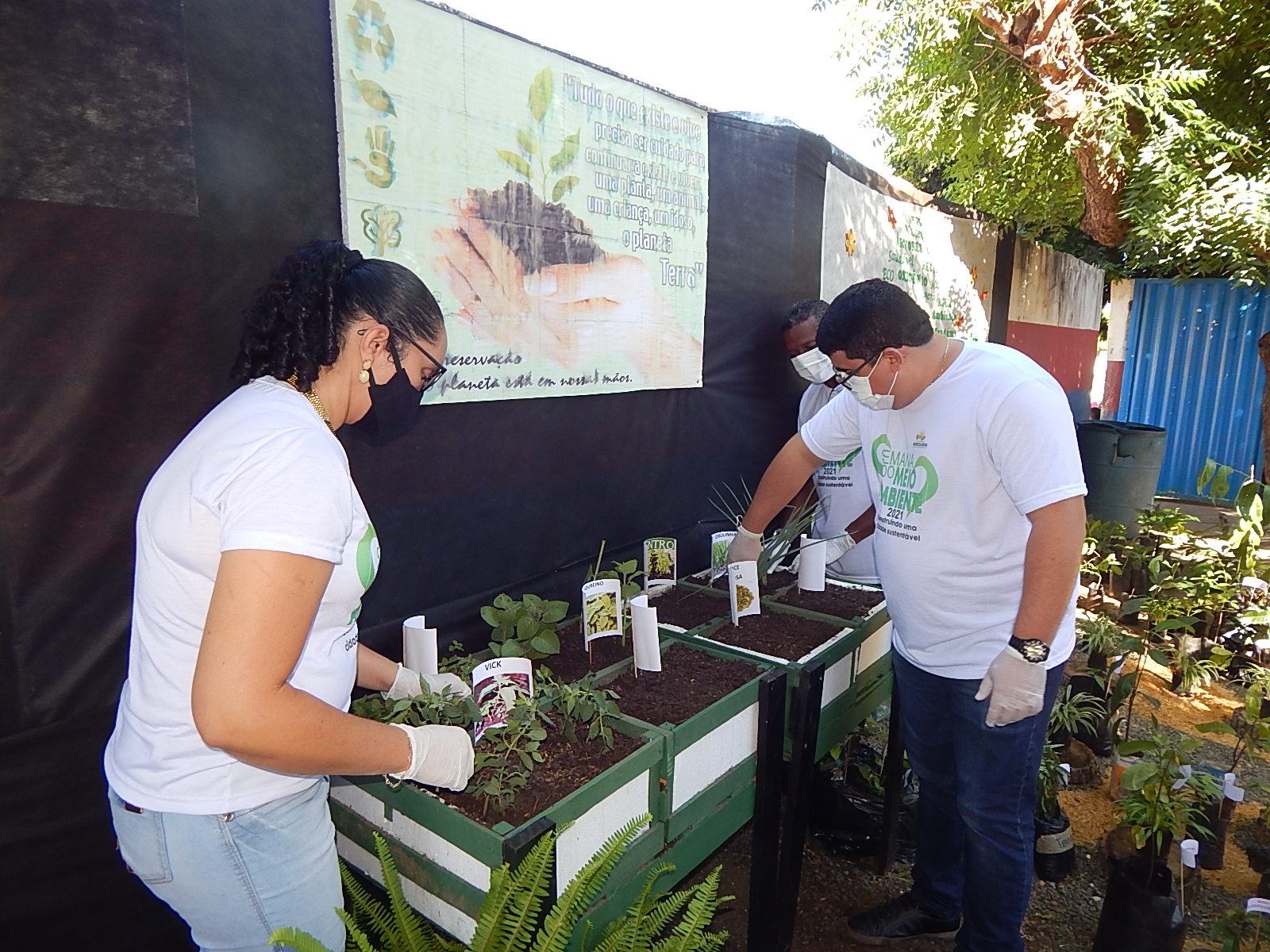 Dia Mundial do Meio Ambiente é lembrado em Agricolândia em Escolas - Imagem 11