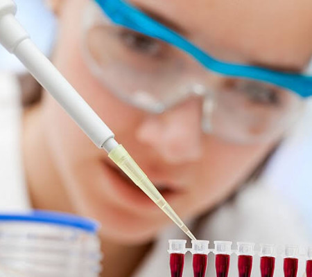 Uruçuí terá ponto de coleta de DNA no município 