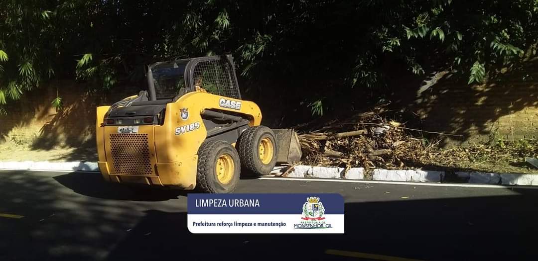 Prefeitura de Monsenhor Gil fazendo reforço na limpeza pública - Imagem 6