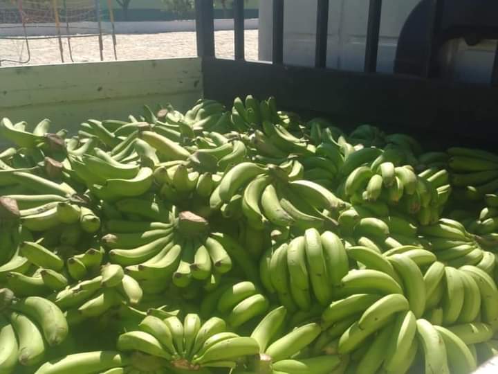 Prefeitura de Itainópolis recebe produtos da Agricultura Familiar - Imagem 4