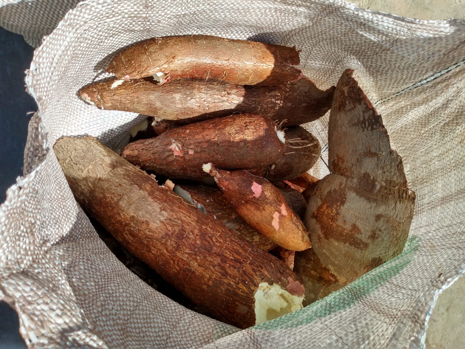 Prefeitura de Itainópolis recebe produtos da Agricultura Familiar - Imagem 5