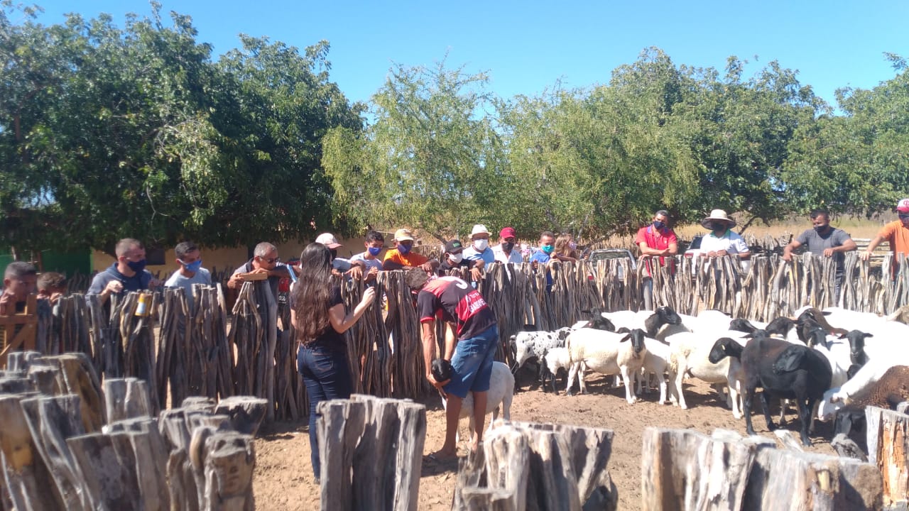 Prefeitura de Itainópolis e SEBRAE realizam consultoria em Zona Rural - Imagem 2