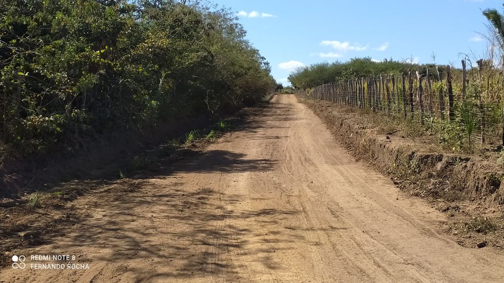 Prefeitura de Lagoinha vem atuando em todas as Áreas no Município - Imagem 4