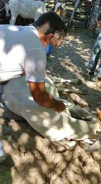 Prefeitura Municipal de Monsenhor Gil atuando ao lado do homem do Campo - Imagem 7