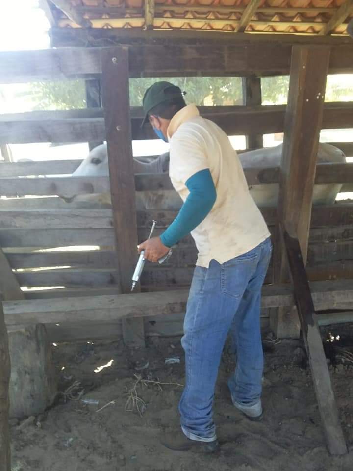 Prefeitura Municipal de Monsenhor Gil atuando ao lado do homem do Campo - Imagem 8