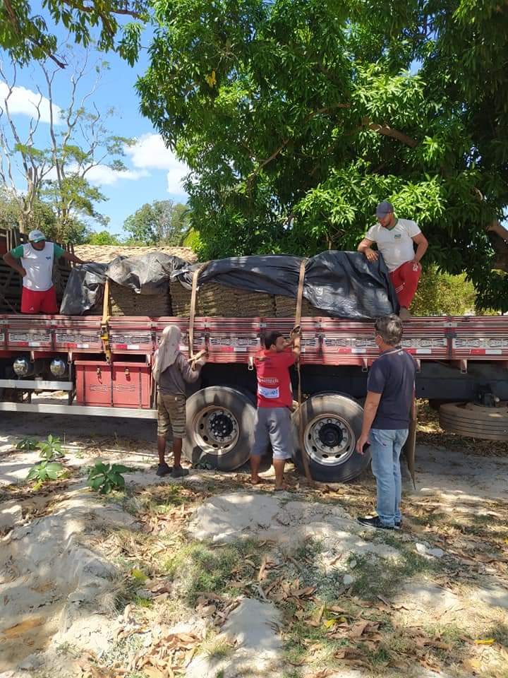 Prefeito João Luiz faz vistoria a obra em finalização em Monsenhor Gil - Imagem 6