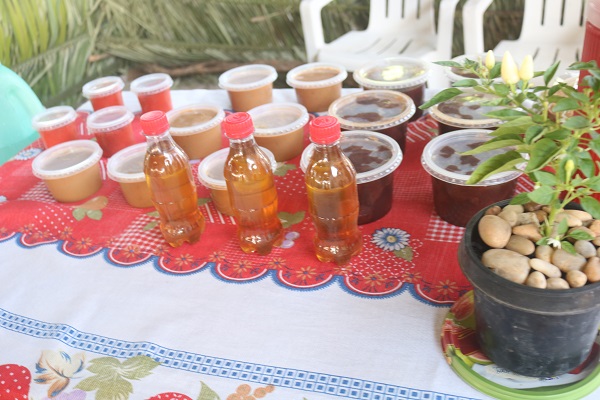 III Feira da Agricultura Familiar de N. S. dos Remédios rendeu R$176 mil - Imagem 13