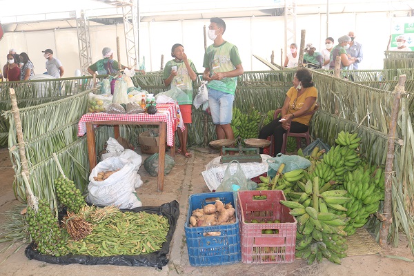 III Feira da Agricultura Familiar de N. S. dos Remédios rendeu R$176 mil - Imagem 9